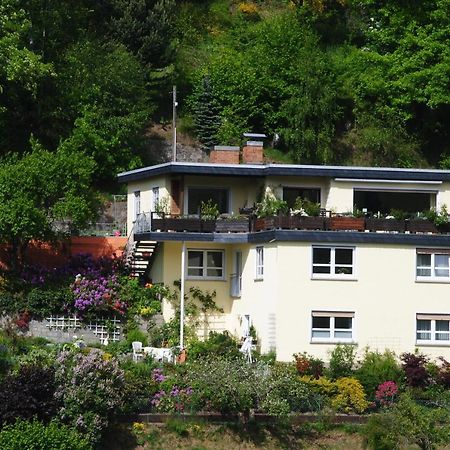 Ferienwohnung Haus Am Sommerberg Ludwigsstadt Exteriér fotografie