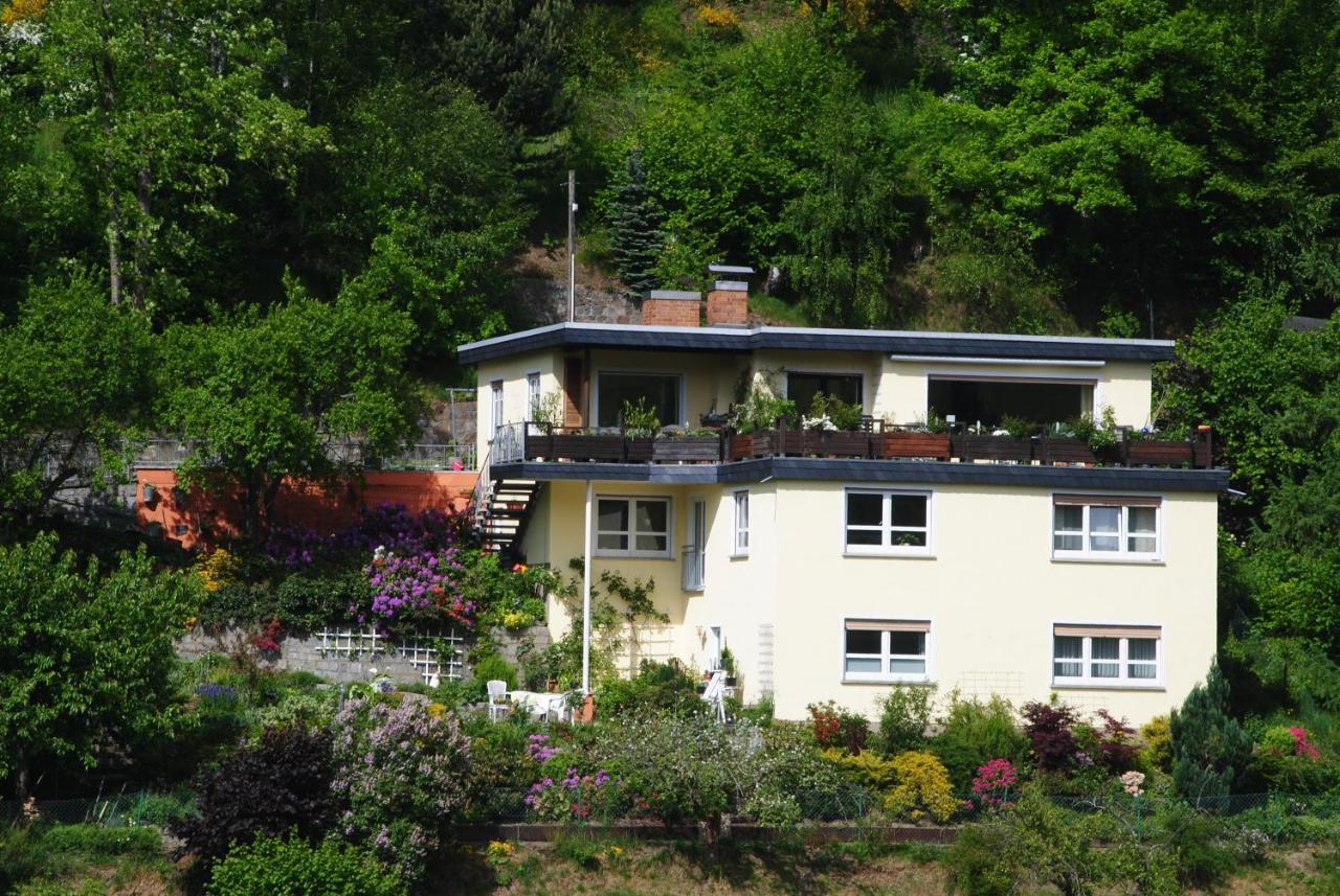 Ferienwohnung Haus Am Sommerberg Ludwigsstadt Exteriér fotografie